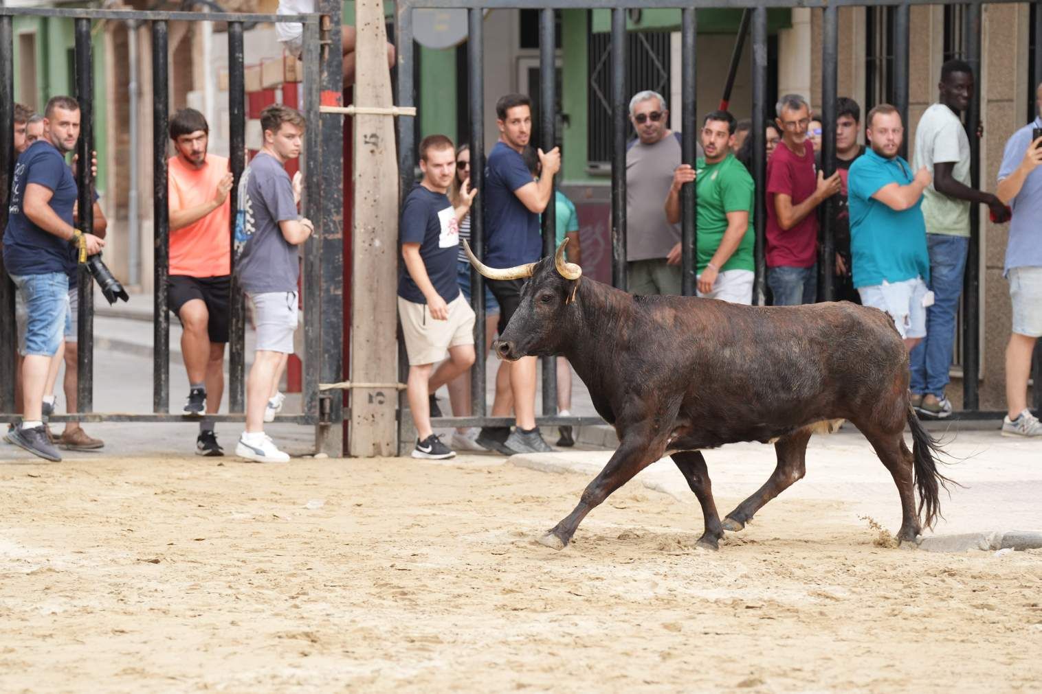 El Grau da inicio a las fiestas de Sant Pere con pólvora, bous y música