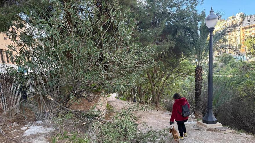 Estos municipios que han registrado rachas de viento de más de 100 km/h