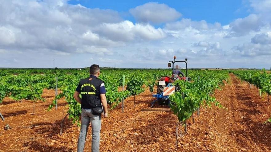 Localizan a ocho trabajadores en una finca de Fuente del Maestre sin contrato