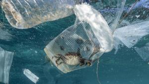 Inventen un nou sistema per reciclar tota mena de plàstic de forma eficaç