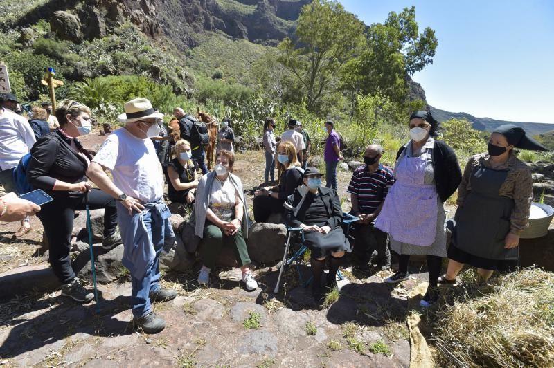 Inauguración del camino de las bestias en Ingenio