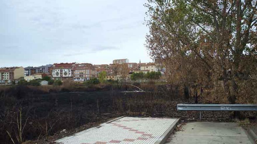 Zona quemada por un fuego junto a la Vía del Canal.