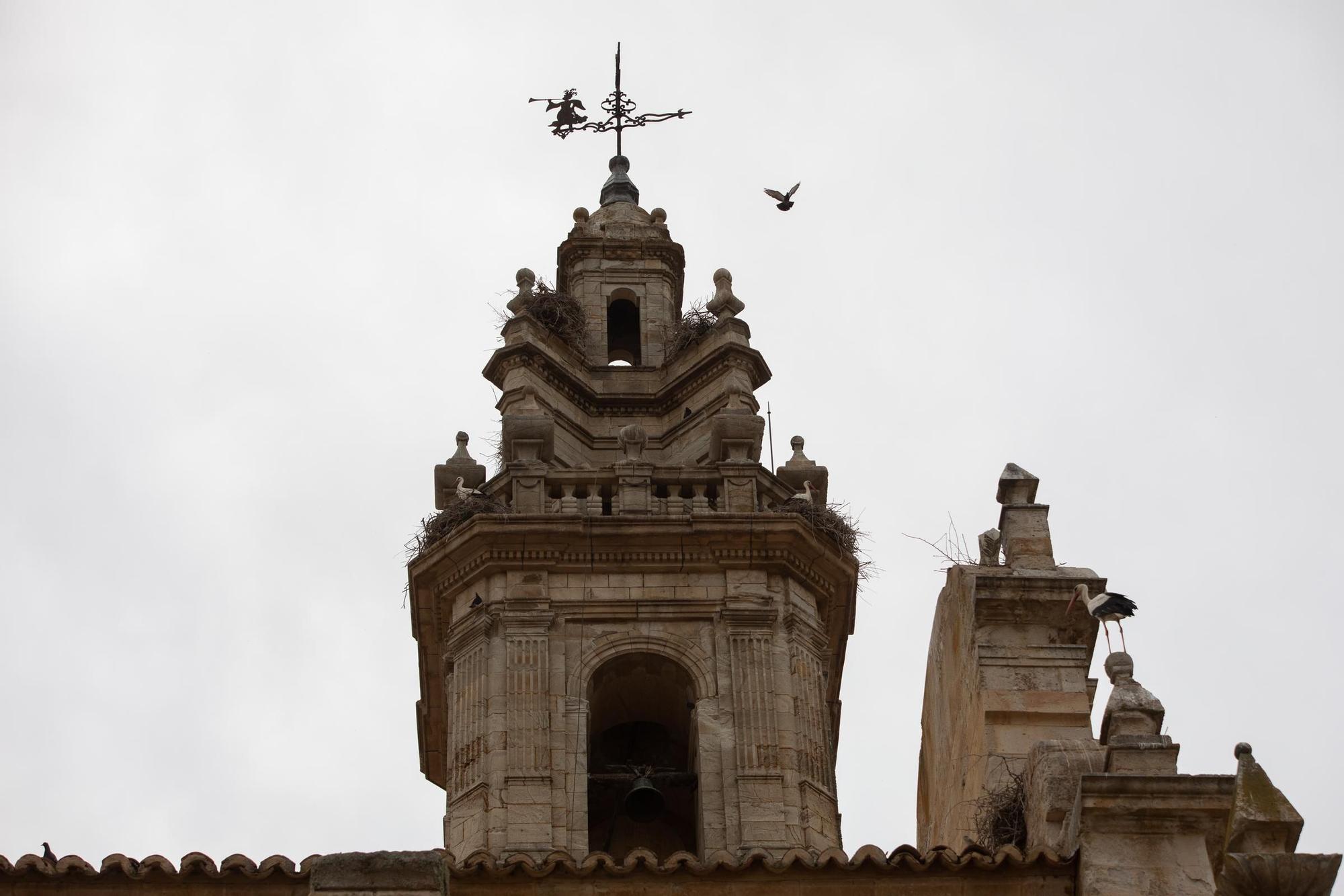 GALERÍA | El triste deterioro de la iglesia de Molacillos