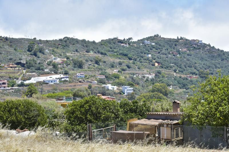 La despoblación de Pino Santo