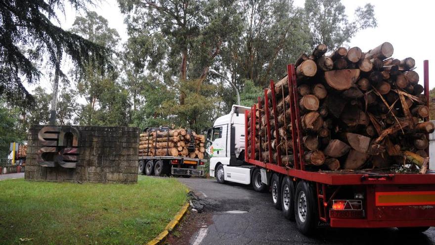 Transportistas de madera acceden a la fábrica de Ence en Pontevedra