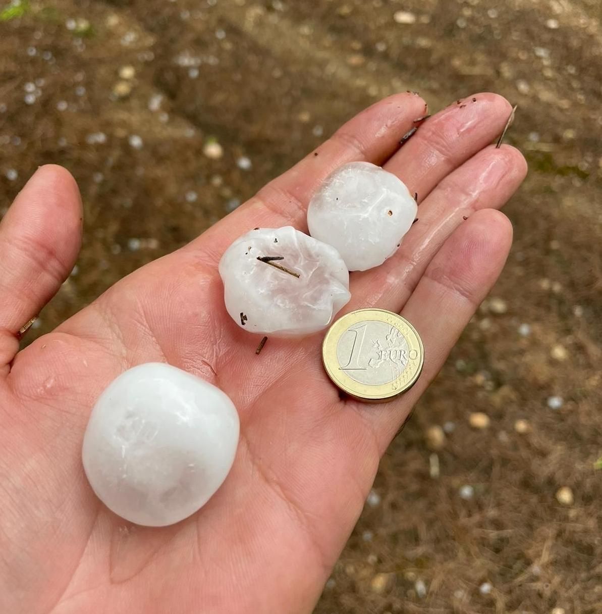 El tamaño del granizo caído en la tarde del martes en algunas zonas del término de Villena.