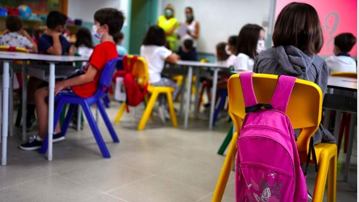 "De què va servir la consulta a les Balears on el 80% de famílies van escollir el català a l'escola?" "De què va servir la consulta a les Balears on el 80% de famílies van escollir el català a l'escola?"