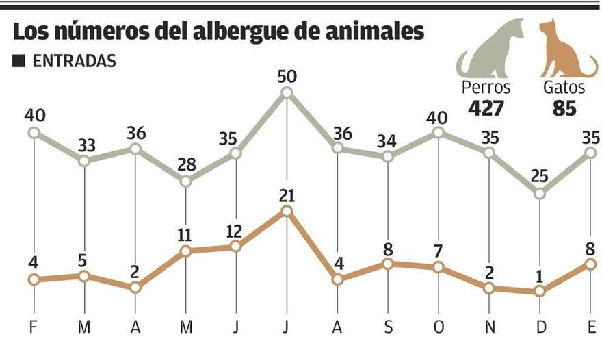 El número de perros y gatos acogidos en el albergue cayó un 45% a lo largo de 2017