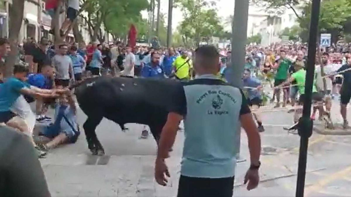 La celebració d&#039;unn correbou a la Ràpita indigna de nou les xarxes socials