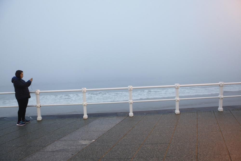 Visibilidad nula en el paseo del Muro en Gijón por la niebla