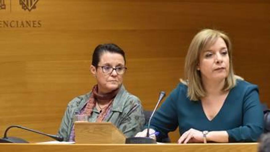 Etelvina Andreu con la diputada Toñi Serna, ayer en las Cortes.