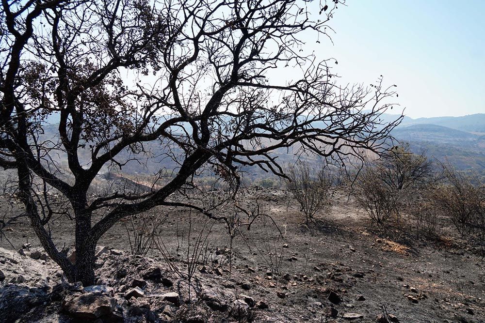 El incendio del Calatraveño arrasa zonas de gran valor ambiental