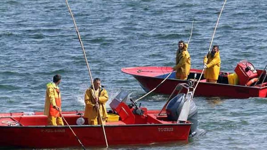 Mariscadores de a flote de Vilanova de Arousa, faenando en aguas de la ría.  // J.L. Oubiña