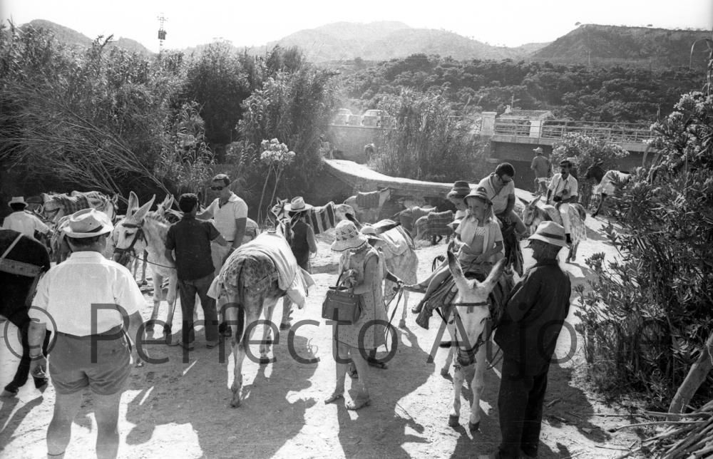 CALLOSA DE ENSARRIÁ 1969