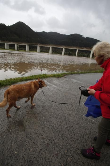 El río Nalón, en Pravia