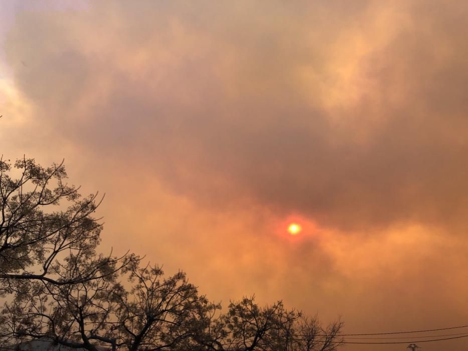 Incendio forestal en Culla