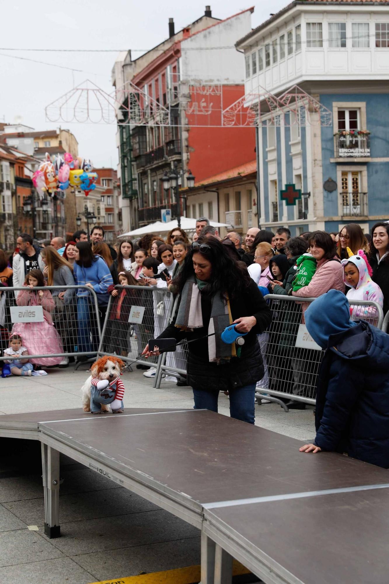 Las mascotas antroxaes desfilan ante su público