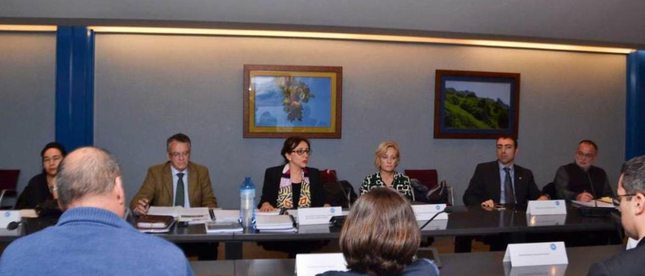 La consejera de Medio Ambiente, Belén Fernández, -en el centro de la imagen- reunió ayer de urgencia en Oviedo al Observatorio para la Sostenibilidad, para abordar la contaminación en la región.