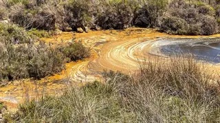 Agentes del Govern levantan dos actas por el vertido en el Parque Natural de ses Salines de Ibiza y Formentera