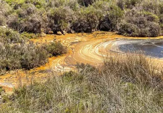 Denuncian un posible vertido de aguas residuales en el Parque Natural de ses Salines de Ibiza y Formentera