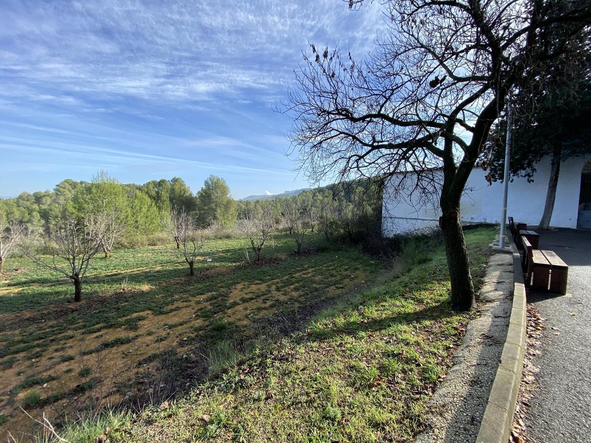 Terrenos adquiridos para ampliar el cementerio de Agullent.