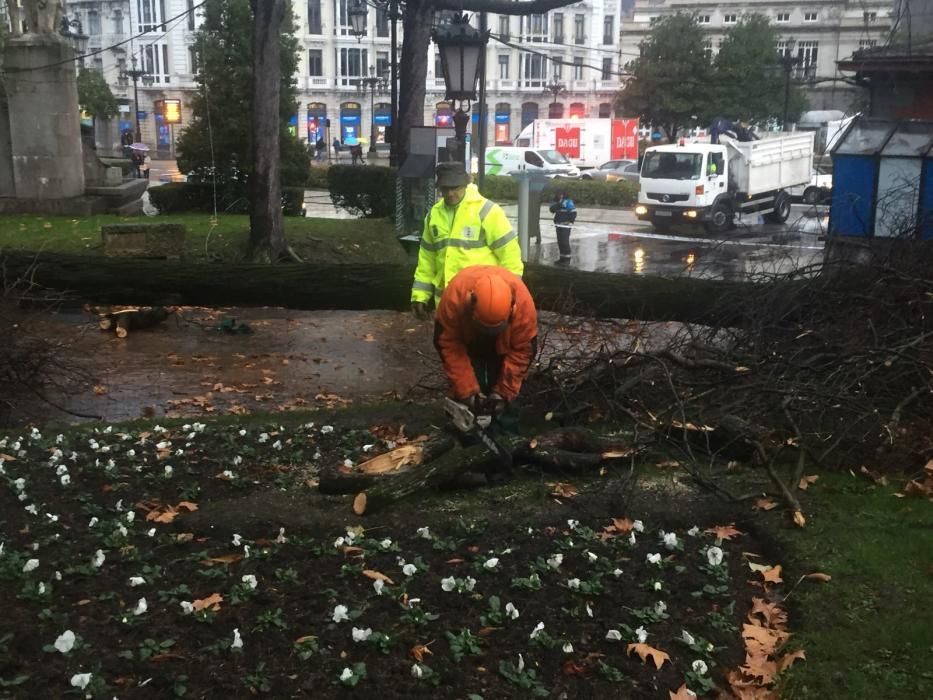 Destrozos en El Escorialín