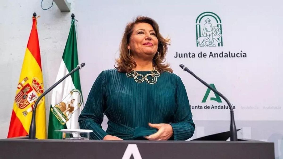 La consejera de Agricultura, Pesca, Agua y Desarrollo Rural, Carmen Crespo, durante una rueda de prensa en San Telmo en una imagen de archivo.