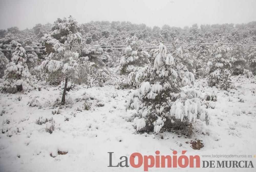 Nieve en el Noroeste de la Región