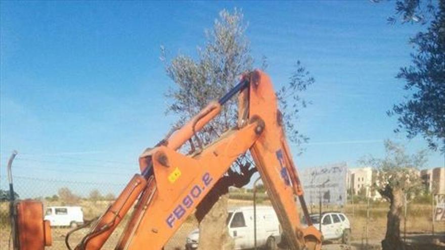 Empieza la obra para ensanchar el camino de la Vereda del Viejo