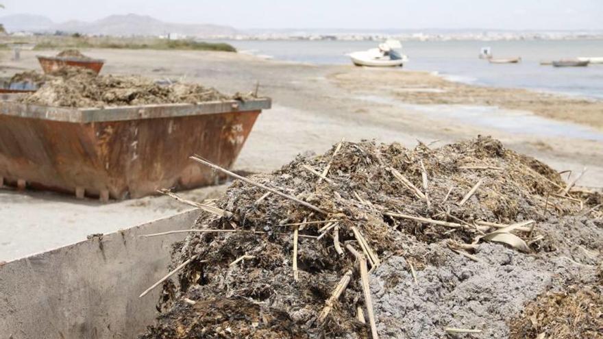 La Consejería murciana desaconseja el baño en cinco playas del Mar Menor