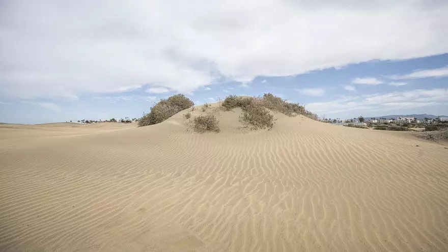 Nueva 'invasión' a las Dunas de Maspalomas