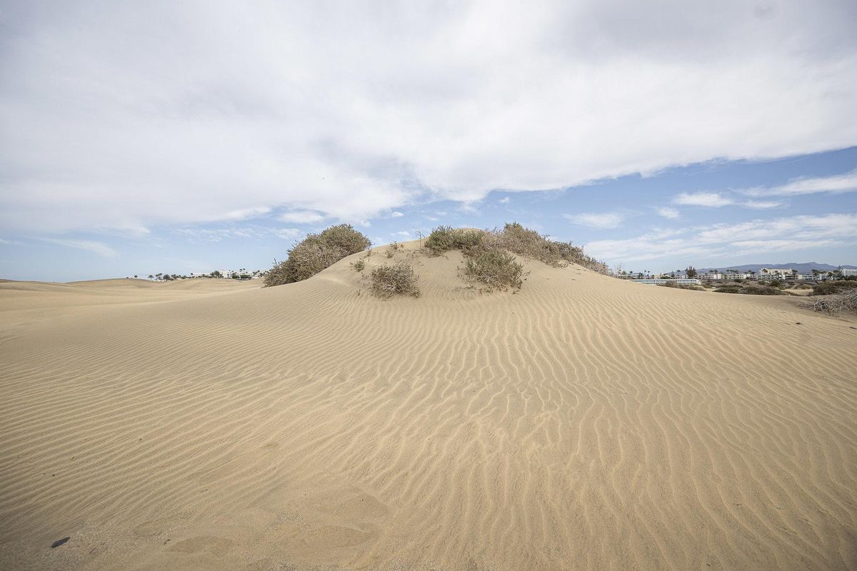 Dunas de Maspalomas.
