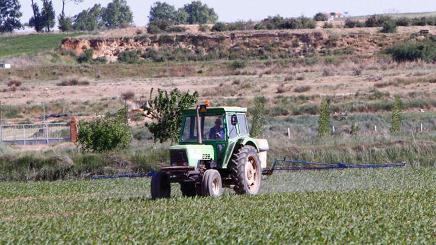 Un tractor realiza labores agrícolas en una finca de cultivo de la provincia. |