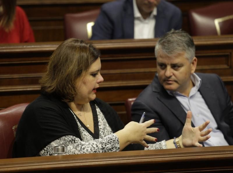 El pleno del Parlamento de Canarias continua con varias comparecencias, entre ellas varias de la consejera de Educación, María José Guerra, para abordar cuestiones como el absentismo y el abandono escolar temprano o el Plan Estratégico de Atención a la Diversidad en la Ley Canaria de Educación  | 12/02/2020 | Fotógrafo: Delia Padrón