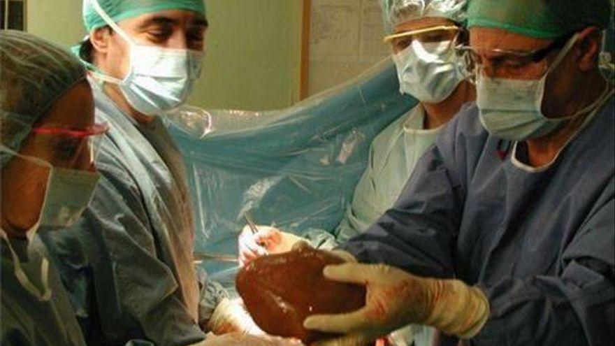 Aragón ha realizado 41 trasplantes de órganos en los primeros cinco meses del año
