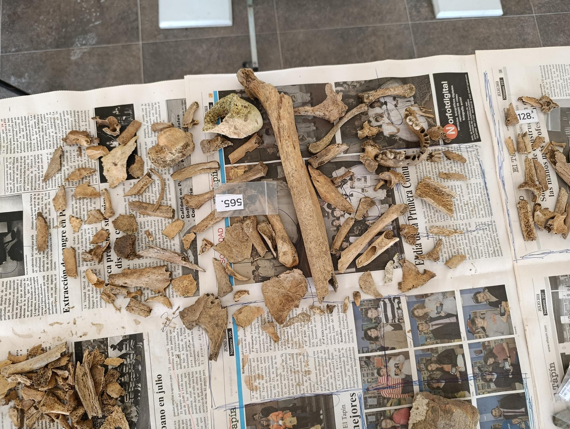 Así se trabaja en el laboratorio de "Lucus Asturum" en Villabona