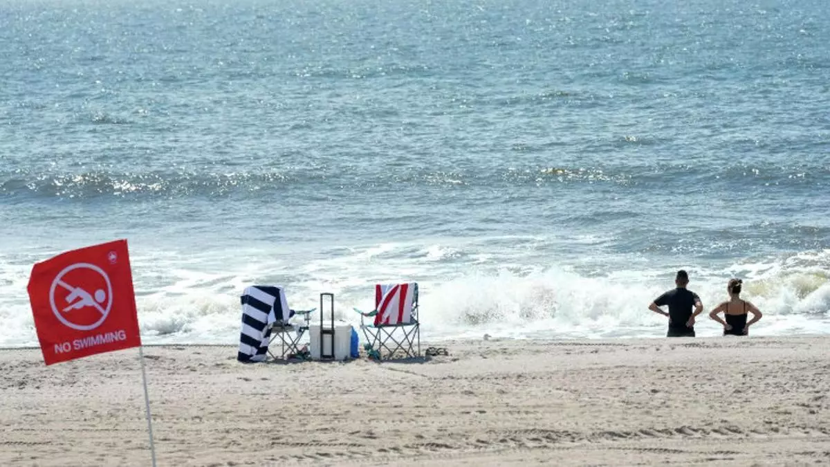 Aumentan los ataques de tiburón en Nueva York: "Debemos aprender a convivir de forma segura"