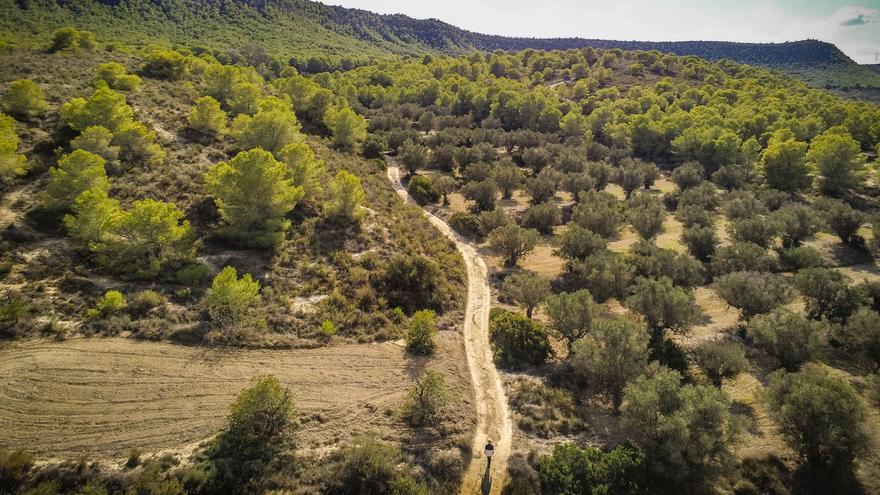 La Generalitat inicia el trámite de declaración de Sierra Escalona y la Dehesa de Campoamor como Parque Natural