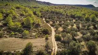 La Generalitat inicia el trámite de declaración de Sierra Escalona y la Dehesa de Campoamor como Parque Natural