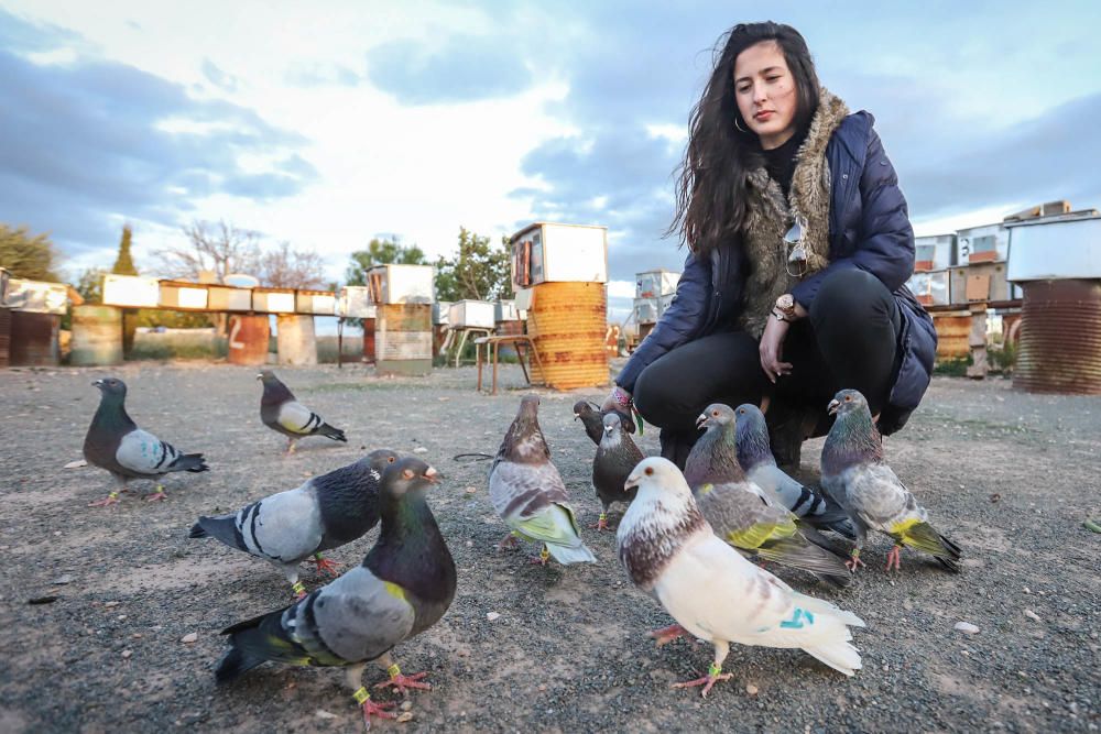 Albatera: Ana Cánovas es campeona nacional junior de colombicultura