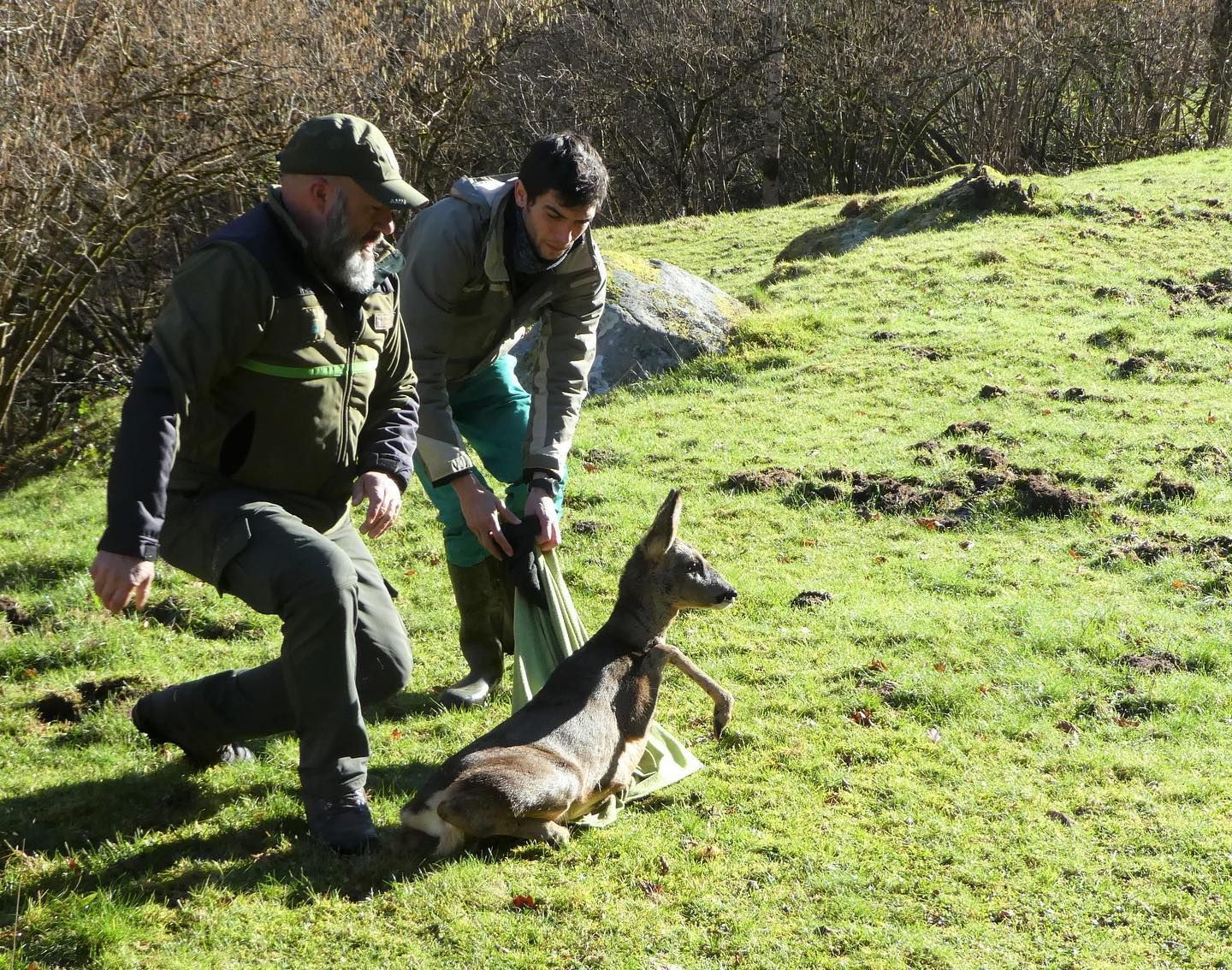 Los "pacientes" del HUCA de los animales de Asturias