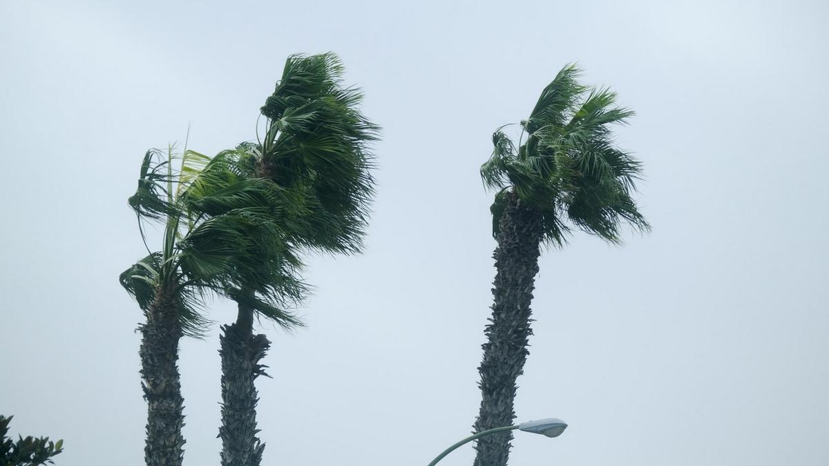 El fuerte viento golpea a una Canarias con calima