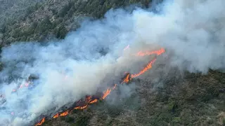 Un rayo provoca un incendio en una zona forestal de difícil acceso en Alins (Pallars Sobirà)