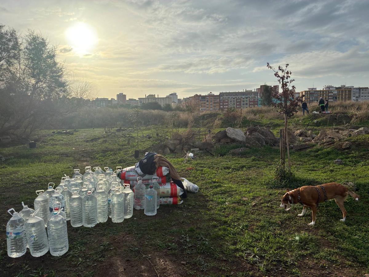 Voluntarios de la plataforma Bosque Urbano Málaga plantan 60 árbolesen los antiguos terrenos de Repsol
