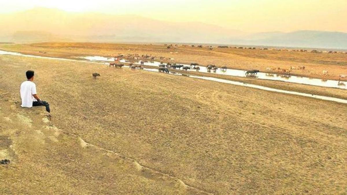 Els científics temen que el nou episodi d’El Niño accentuï aquest any els esdeveniments extrems del clima, amb més sequeres i inundacions.