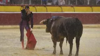 Feria de la Albahaca: Roca Rey corta dos orejas tras una lidia épica bajo una copiosa tormenta
