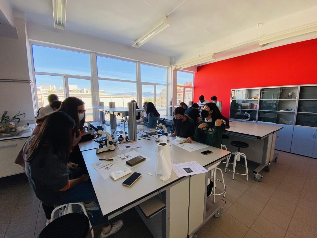 Estudiantes oscenses en las instalaciones de laboratorio del Colegio Salesianos de Huesca.