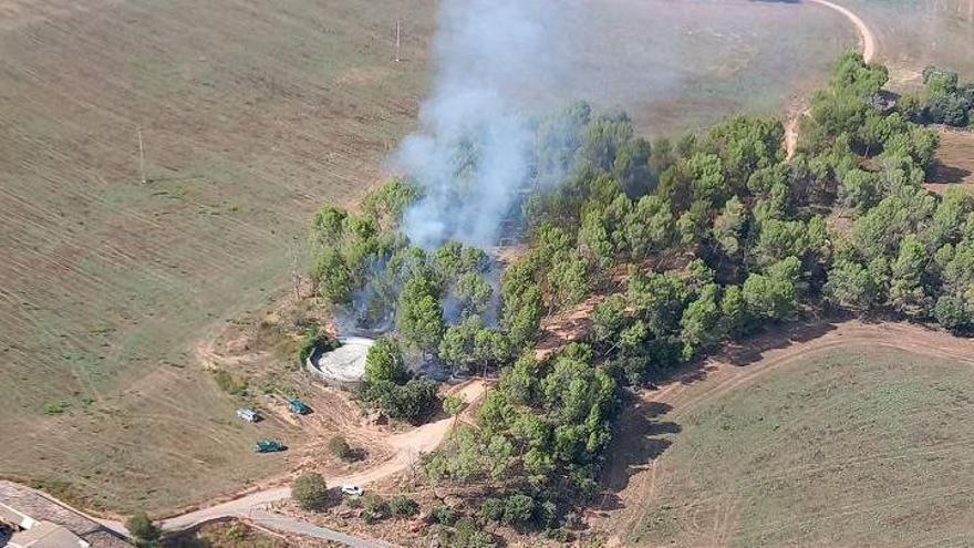Un incendi calcina 300 m2 de vegetació a Pineda de Bages