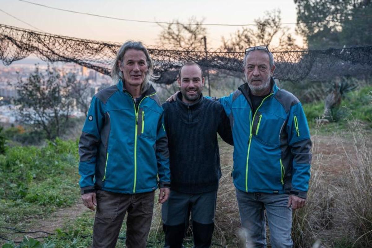 Ullar, Oms y Molera, ante la red.