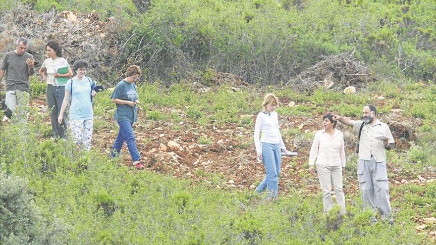 El aguilucho cenizo obligará a parar las obras de la autovía a Tarragona